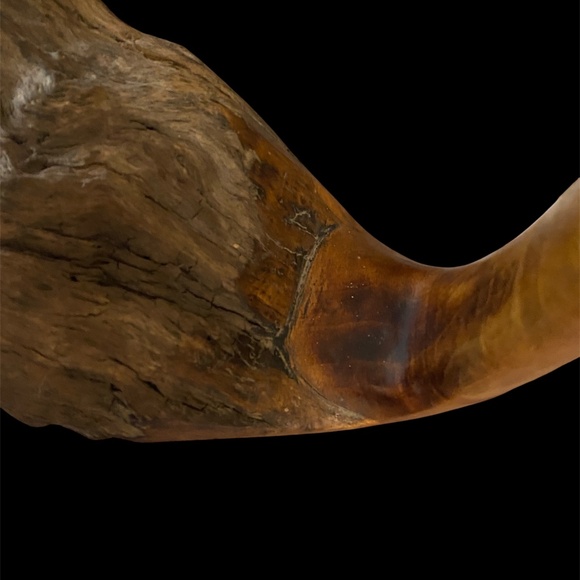 VTG Hand Carved Wood Coastal Bird Sculpture Driftwood Heron Whimbrel Cormorant - Picture 9 of 13